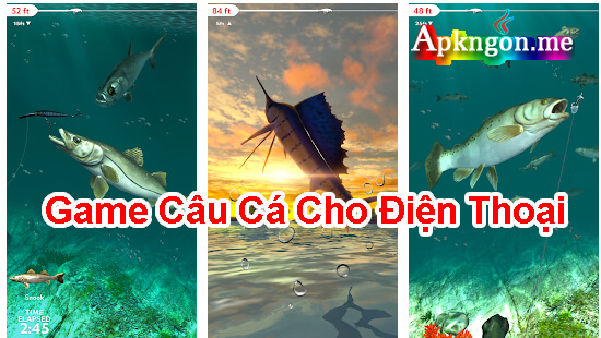 game cau ca Rapala Fishing - Top 7 Game Câu Cá Miễn Phí Cho Android